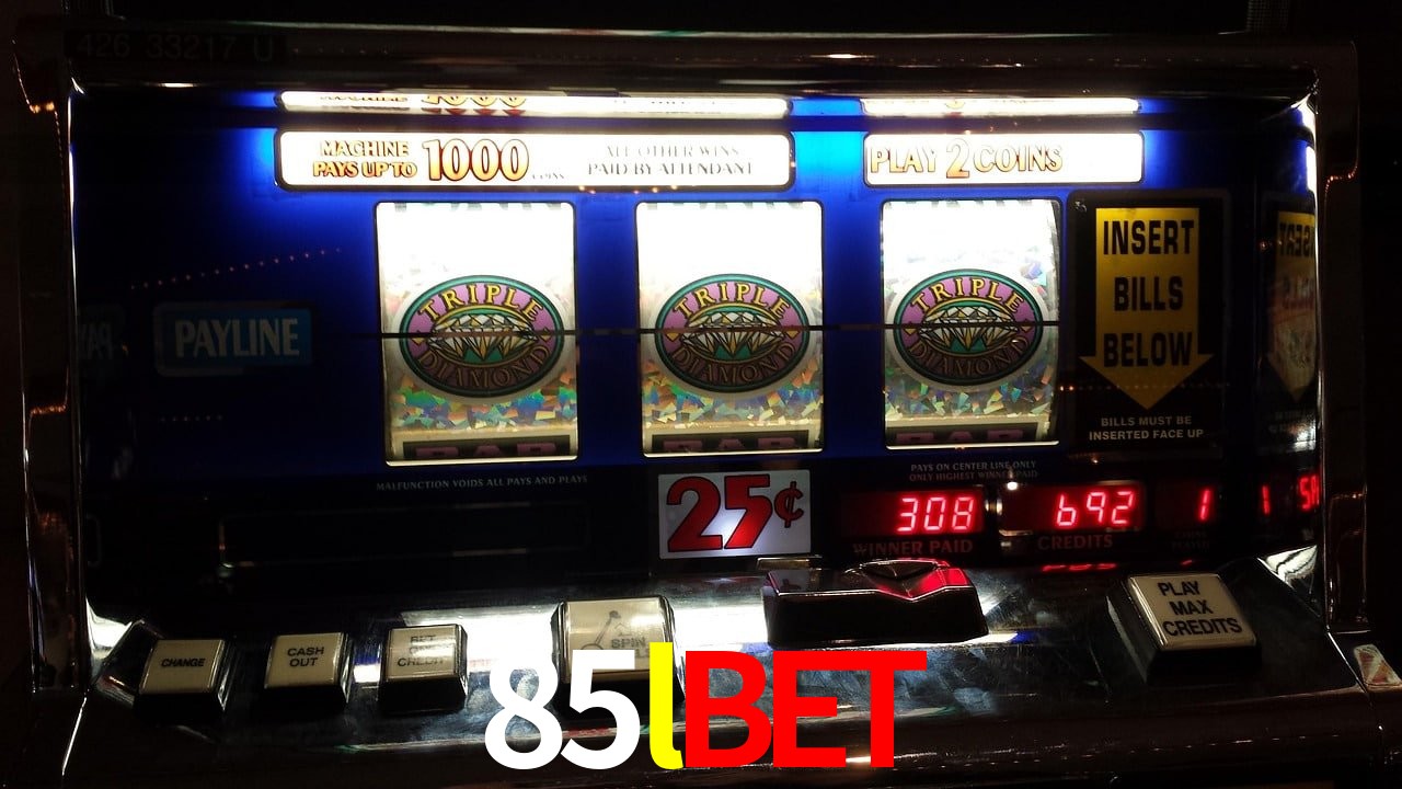 Sports Statistics 85lbet